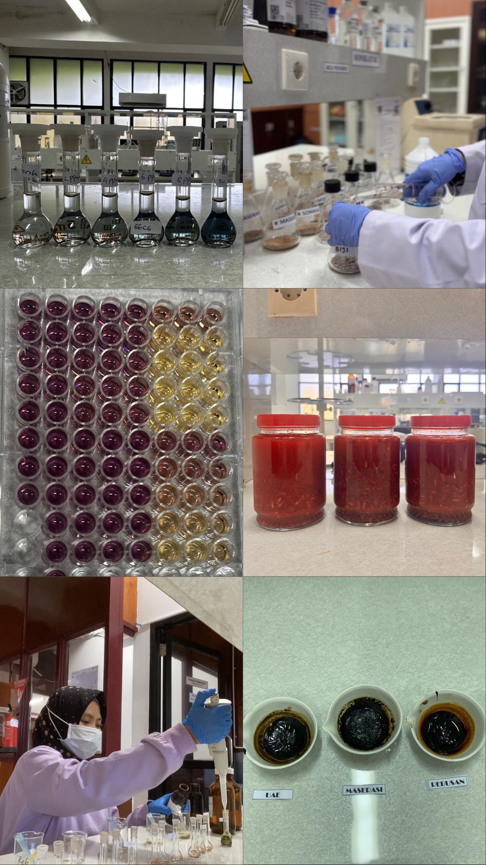 Laboratorium Biofarmaka